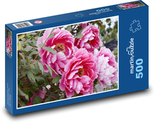 Pfingstrose Blume - Pflanze, Natur Puzzle 500 Teile - 46 x 30 cm