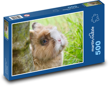 Królik karłowaty - zwierzę, ssak Puzzle 500 elementów - 46x30 cm