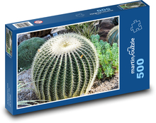 Kaktus - pichlavá rostlina, květina Puzzle 500 dílků - 46 x 30 cm