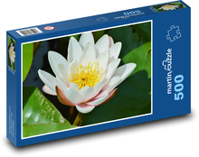 Lekná - vodný kvet, rybník Puzzle 500 dielikov - 46 x 30 cm 