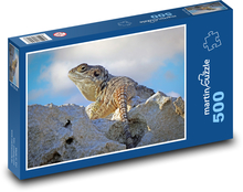 Agama - reptile, lizard Puzzle of 500 pieces - 46 x 30 cm 