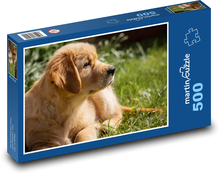Pes - zlatý retriever, šteniatko Puzzle 500 dielikov - 46 x 30 cm 