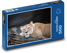 Lvice - velká kočka, lev Puzzle 500 dílků - 46 x 30 cm