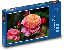 Rosen - Blume, Pflanze Puzzle 500 Teile - 46 x 30 cm