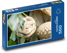 Galapágská obří želva - plaz, zvíře Puzzle 500 dílků - 46 x 30 cm