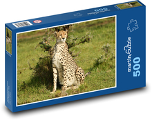 Gepard - voľne žijúcich živočíchov, Afrika Puzzle 500 dielikov - 46 x 30 cm 