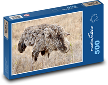 Samice pštrosa somálského - zvíře, pták  Puzzle 500 dílků - 46 x 30 cm