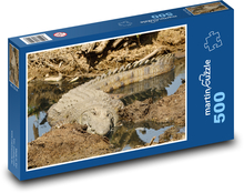 Krokodíl nílsky - voľne žijúce živočíchy, zvieratá Puzzle 500 dielikov - 46 x 30 cm