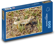 Lizard - reptile, animal Puzzle of 500 pieces - 46 x 30 cm 