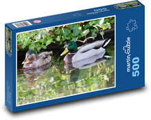 Kaczki - dzikie ptaki, woda Puzzle 500 elementów - 46x30 cm