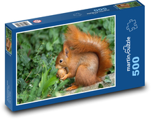 Eichhörnchen - Walnuss, Wild Puzzle 500 Teile - 46 x 30 cm