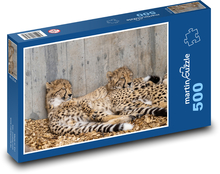 Gepardi - kočkovité šelmy, zvířata Puzzle 500 dílků - 46 x 30 cm