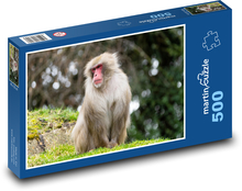 Małpa - ssak, zoo Puzzle 500 elementów - 46x30 cm