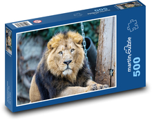 Asijský lev - savec, zvíře Puzzle 500 dílků - 46 x 30 cm