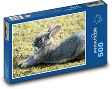 Kaninchen - Tier, Frühling Puzzle 500 Teile - 46 x 30 cm