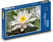 Blühende Seerose - Pflanze, Wasser Puzzle 500 Teile - 46 x 30 cm