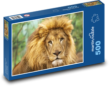 Lev - velká kočka, zvíře Puzzle 500 dílků - 46 x 30 cm