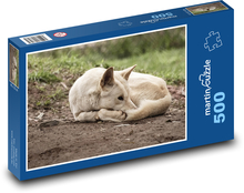 Dingo - male, Australia Puzzle of 500 pieces - 46 x 30 cm