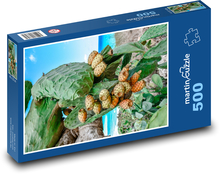 Opuncie - kaktus, ovoce Puzzle 500 - 46x30 cm