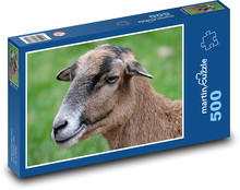 Kamerunská ovce - zvíře, farma Puzzle 500 dílků - 46 x 30 cm