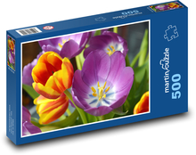 Tulipány - květ, jaro  Puzzle 500 dílků - 46 x 30 cm