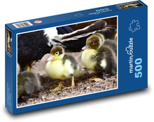 Divoké kachny - mláďata, ptactvo Puzzle 500 dílků - 46 x 30 cm