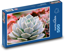 Kaktus - sukulent, rostlina Puzzle 500 dílků - 46 x 30 cm