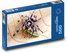 Pavouk - zvíře, list Puzzle 500 dílků - 46 x 30 cm