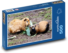 Peruvian guinea pigs - pets, rodents Puzzle of 500 pieces - 46 x 30 cm 