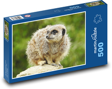Surikata - Tier, Säugetier Puzzle 500 Teile - 46 x 30 cm