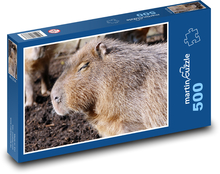 Kapybara - savec, zvíře Puzzle 500 - 46x30 cm