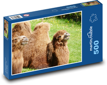Velbloud - zvíře, savec Puzzle 500 dílků - 46 x 30 cm