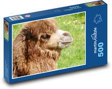 Velbloud - zvíře, savec Puzzle 500 dílků - 46 x 30 cm