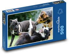 Border kolie - hrající si psi, zvířata  Puzzle 500 dílků - 46 x 30 cm