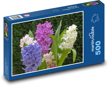 Hyacint - jarní květiny, rostlina Puzzle 500 dílků - 46 x 30 cm