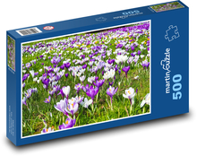 Crocus - flower, blooming meadow Puzzle of 500 pieces - 46 x 30 cm 