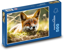 Fox - mammal, wild animal Puzzle of 500 pieces - 46 x 30 cm 