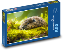 Otter - animal, nature Puzzle of 500 pieces - 46 x 30 cm 