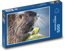 Nutrie - hlodavec, savec Puzzle 500 - 46x30 cm