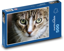 Kočka - oči Puzzle 500 dílků - 46 x 30 cm