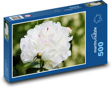 Peony - white flower, plant Puzzle of 500 pieces - 46 x 30 cm 