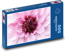 Jiřina - květ jiřiny, okvětní lístky Puzzle 500 - 46x30 cm