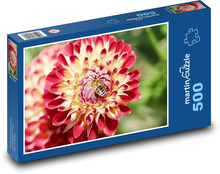 Dahlia kvet - rastlina, záhrada Puzzle 500 dielikov - 46 x 30 cm 