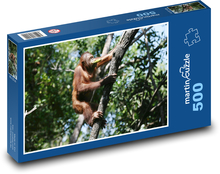 Orang-Utan - Affe, auf einen Baum klettern Puzzle 500 Teile - 46 x 30 cm