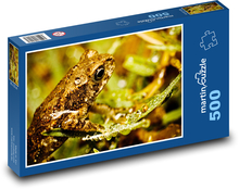 Žaba - obojživelník, zviera Puzzle 500 dielikov - 46 x 30 cm 