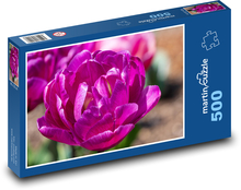 Fialové tulipány - květiny, jaro Puzzle 500 dílků - 46 x 30 cm