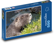 Nutrie - vodní zvíře, potok  Puzzle 500 dílků - 46 x 30 cm