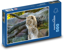 Big cats - lion, lioness Puzzle of 500 pieces - 46 x 30 cm 