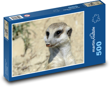 Surikata - Tier, Zoo Puzzle 500 Teile - 46 x 30 cm