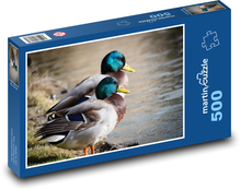 Kachny - kachny divoké, ptáci Puzzle 500 dílků - 46 x 30 cm